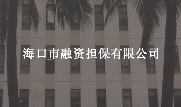 ?？谑腥谫Y擔(dān)保有限公司
